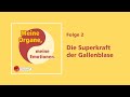 Die Superkraft der Gallenblase – Freistunde Podcast: Meine Organe, meine Emotionen