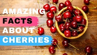 Top 6 Amazing Facts About Cherries  Health Benefits of Eating Cherries