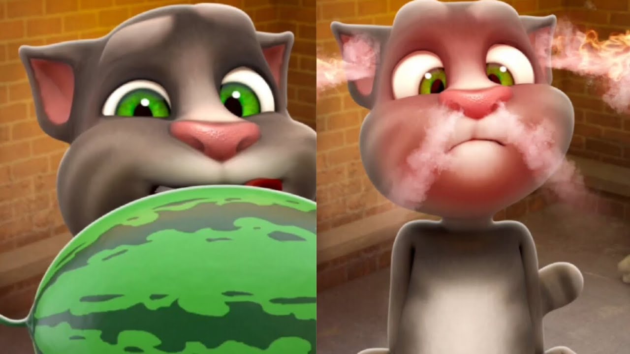 bermain dengan kucing Tom talking tom🐱🐱🐱 YouTube