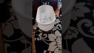Snoo Levels, No Motion Snoo Levels, No Motion