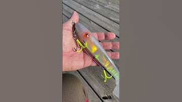 Hot Bait With BKK Hooks #shorts #fishing