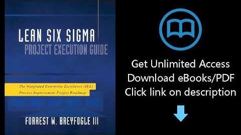 Lean Six Sigma Project Execution Guide: The Integrated Enterprise Excellence (IEE) Process Improveme