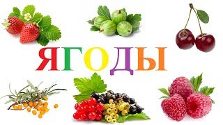 Для детей|Учим названия ягод на русском языке