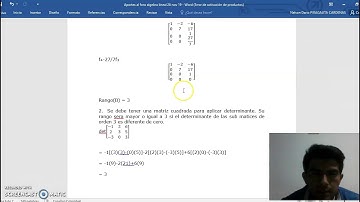 Ejercicio 4 determinantes ,rango de una matriz e independenc