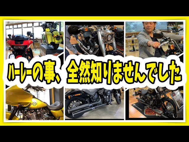 番外編 色々なハーレー】日本で1台しかないHARLEY・DAVIDSON