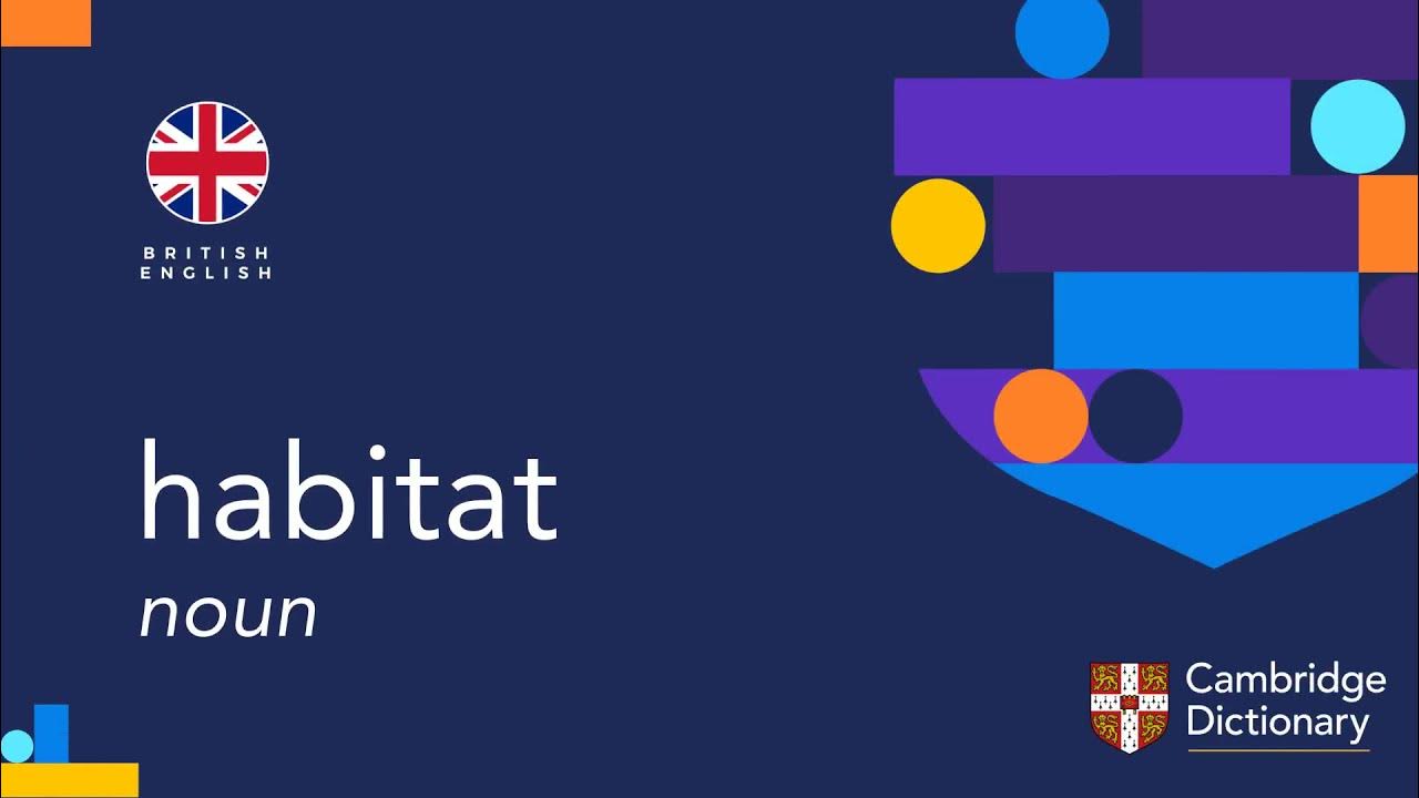 How to pronounce habitat British English and American English