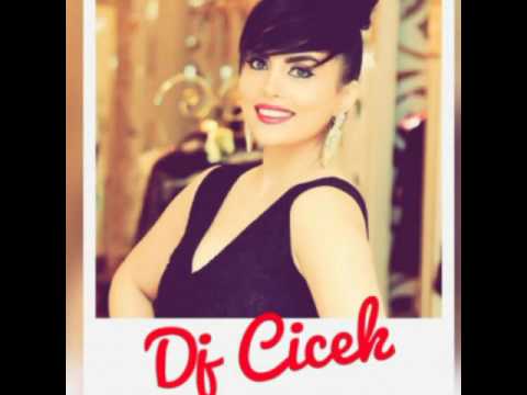 Dj Cicek - Meni en cox sen uzdun sevgilim