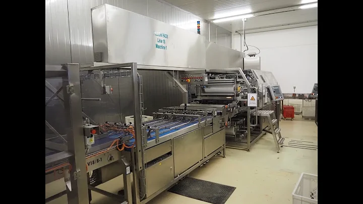 1184-83: GHD George Hartmann Maschinenbau GmbH pillow packaging machine