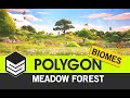 Polygon meadow forest  nature biome  low poly 3d art by syntystudios