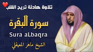 الشيخ ماهر المعيقلي  سورة البقرة  النسخة الأصلية   Surat Albaqra  Audio
