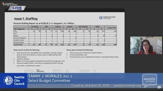 Committee considers more than $49 million in Seattle police budget cuts