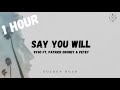 Kygo ft. Patrick Droney & Petey - Say You Will (1 hour loop)