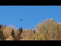ВКС чистят тайгу от ракет.