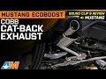 2015-2023 Mustang EcoBoost Cobb V2 Cat-Back Exhaust with Polished Tips Review &amp; Sound Clip