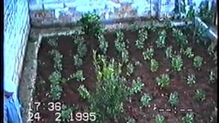 nonno paolo in via lefons