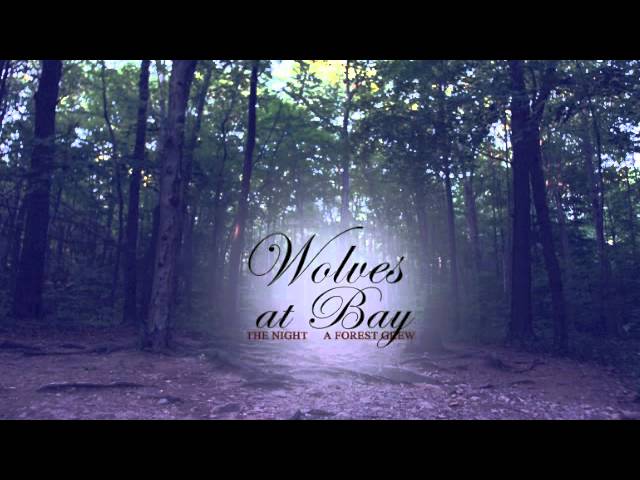 Watch Wolves At Bay - Fought This Through on YouTube Watch Wolves At Bay - Fought This Through on YouTube
