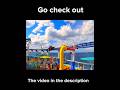 Review of the bolt go check out the video#shorts #bolt #coasterculture