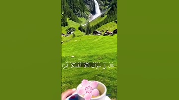 القرآن الكريم راحة نفسية #اكسبلور #duet