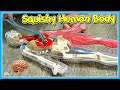 Human body learning about bones organs  more toy review