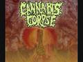 Cannabis Corpse - Disposal of the Baggy