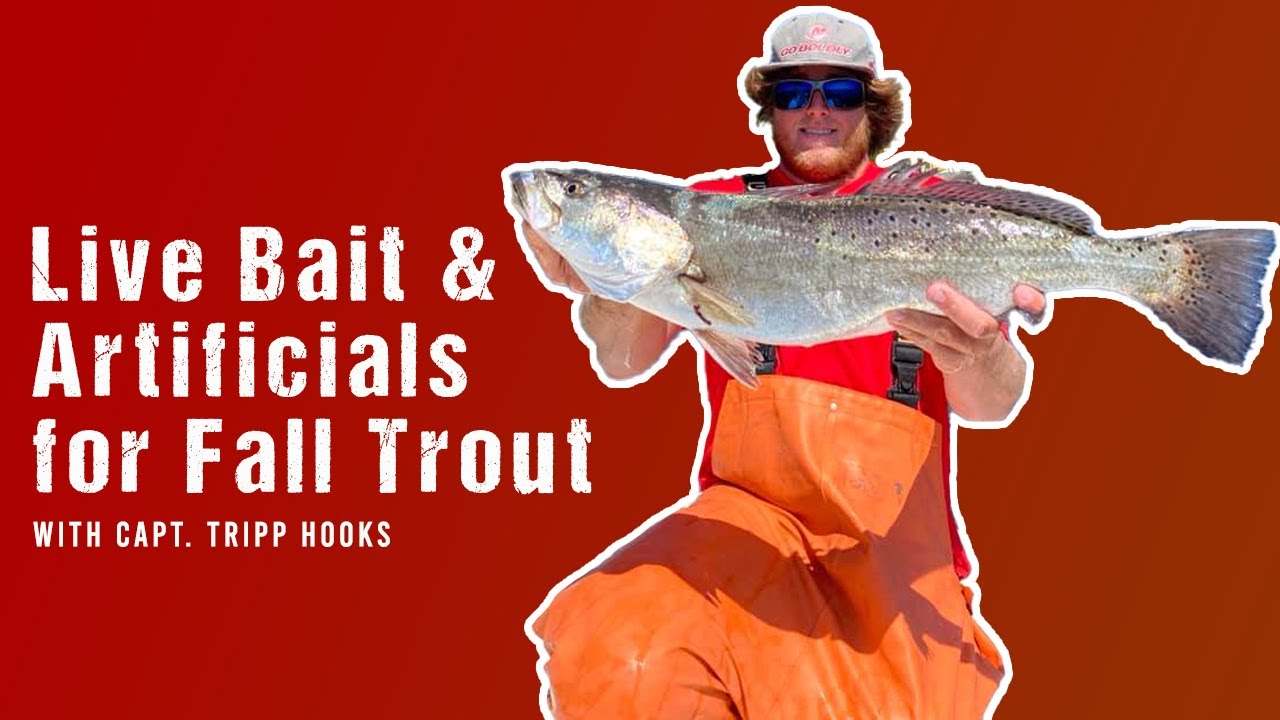 Live Bait & Artificials for Fall Trout w Capt. Tripp Hooks 
