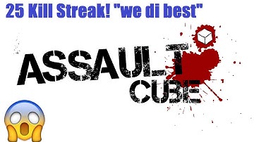 25 Kill Streak on Assault Cube (with normal music)