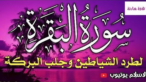 سورة البقرة تلاوة هادئة تريح النفس والقلب 😴🎧تلاوة هادئة قبل النوم 💤صوت هادئ ومريح