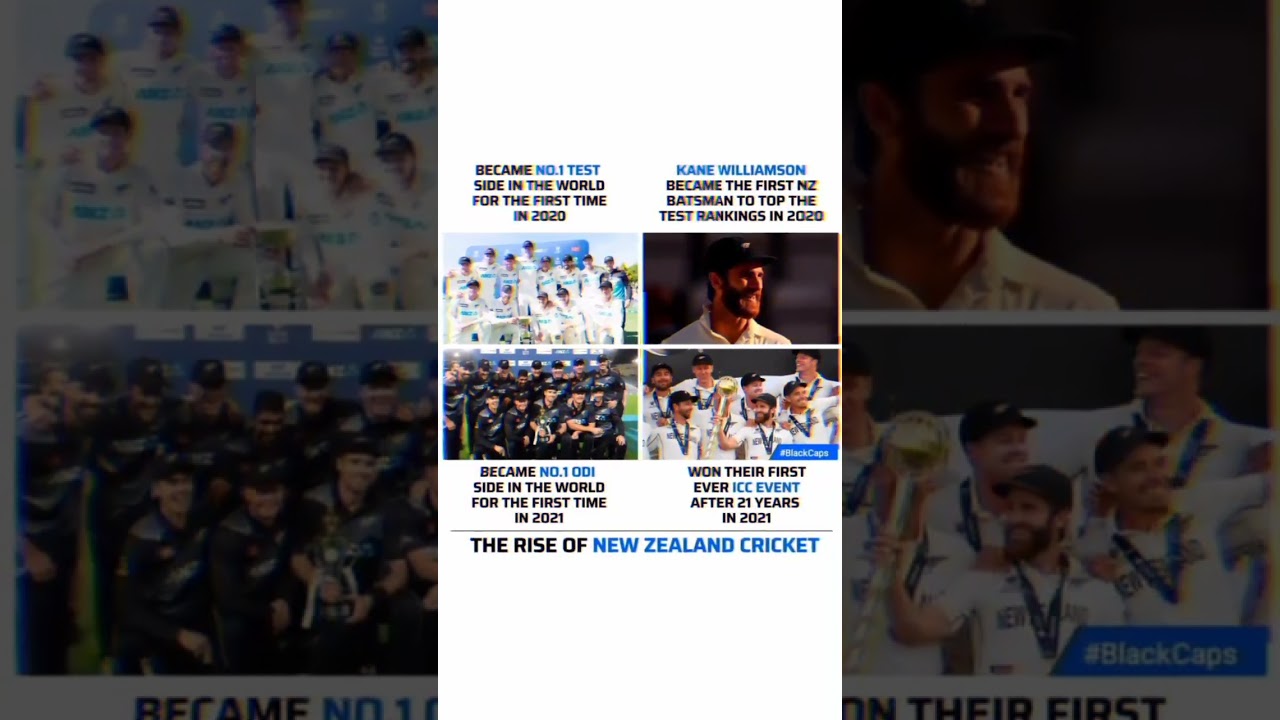New zealand national cricket team|New zealand cricket team|
