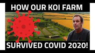 2020: A Year In Review At Cuttlebrook Koi Farm 2020: A Year In Review At Cuttlebrook Koi Farm