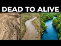 How Ghana Is Saving a Dying River Using the Science of the Right Trees