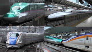 東京駅新幹線ホームから見える列車　E5系、E6系、E7系、E8系、N700系、E231系、E233系、E235系、E657系、新幹線、はやぶさ、つばさ、山手線、東海道新幹線、東北新幹線、車掌、運転士
