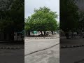 #duet #rasoolallah #answer #shortviral #shortsvideo #shortsvideo #nature #beautiful