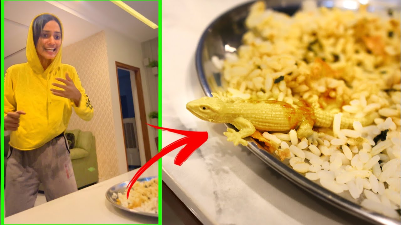 FOODൽ പല്ലിയെ ഇട്ട് കൊടുത്തപ്പോൾ 🤣🤣🤣 DUDY പതറി പോയി l UNBOXINGDUDE l