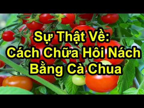 Cách chữa hôi nách đơn giản tại nhà bằng cà chua đây rồi !! Xem để tạm biệt ngay bệnh hôi nách thôi