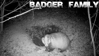 Badger family | Jezevčí rodina