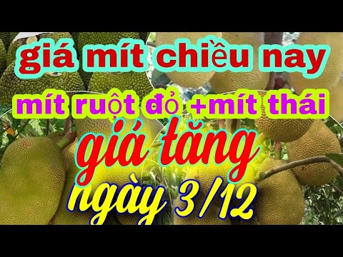 Video giá mít cuối ngày 3/12 - youtube