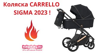 Коляска 2 в 1 Carrello Sigma CRL-6509 / 2023. Новейший видеообзор! Налетай!
