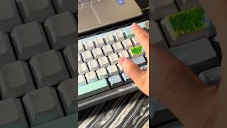 POPPY #asmr #keyboard #calm #build
