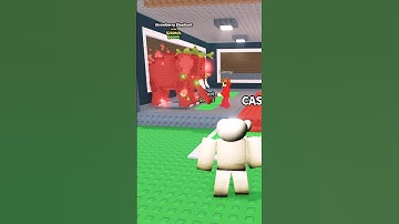 I FOUND A FAKE SAMMY in Steal a Brainrot