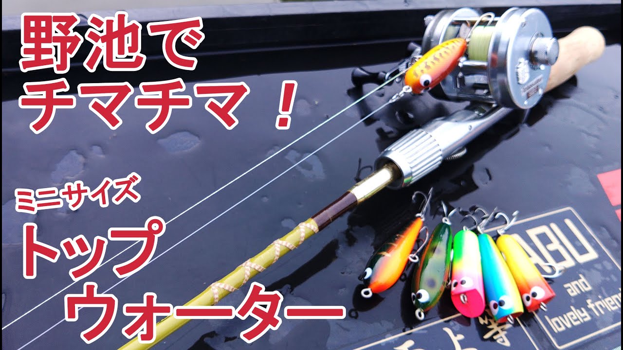 【トップウォーター】懐かしのズイールチマチマシリーズを使って小(子)バスと戯れてきたお話。　