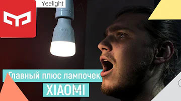Почему стоит купить лампочки от Xiaomi? Как настроить умные лампочки через приложение Yeelight?