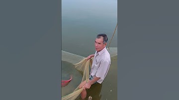 MÔ HÌNH TÔM CÀNG,THẺ KẾT HỢP SÁU THÁNG NUÔI SIZE 8-10 CON/KG #thuysan myphuong