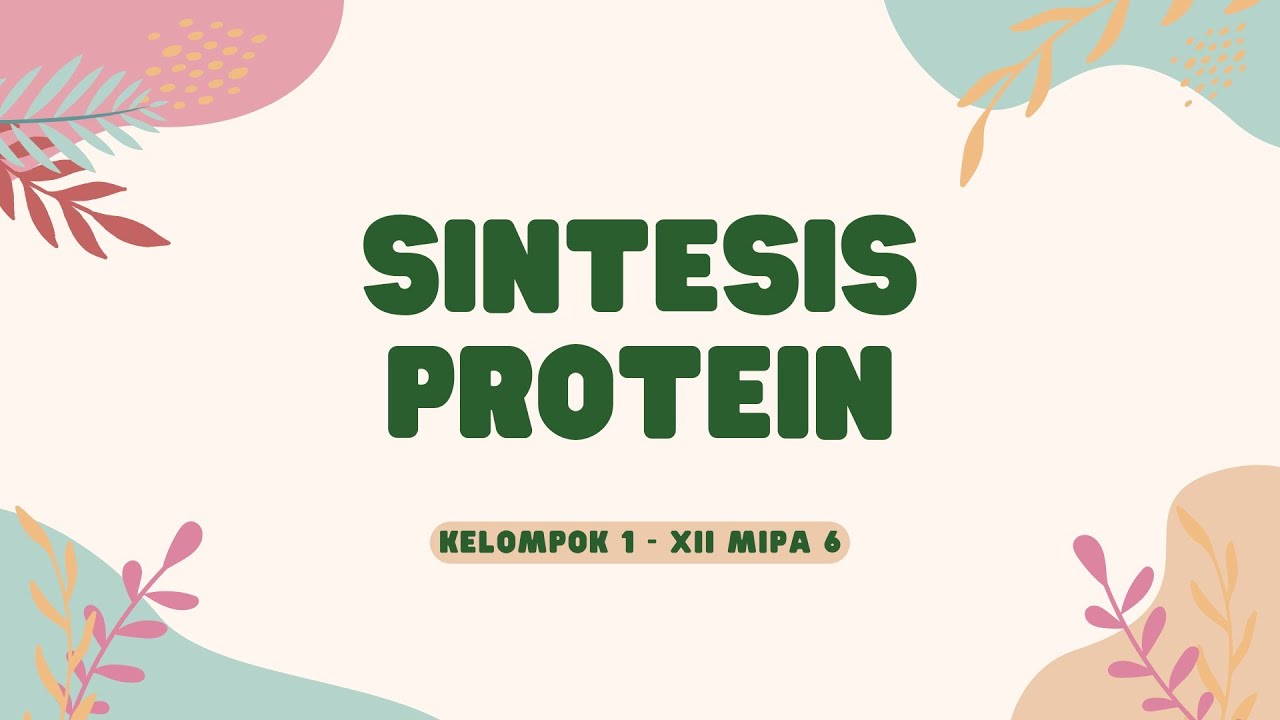 SINTESIS PROTEIN (KELOMPOK 1 - XII MIPA 6) - YouTube