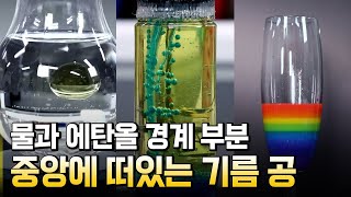 밀도 차를 이용한 신기한 실험 / 별별실험실