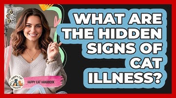 What Are The Hidden Signs Of Cat Illness? - Happy Cat Handbook