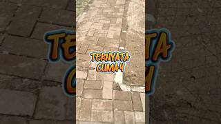 Ternyata cuma 4 ‼️ #shorts #motovlog #ojol