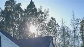 Storm damage in South Bibb from severe weather event