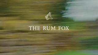 The Rum Fox | New 365 Shoe
