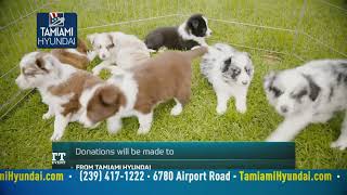 The Putt Master Event At Tamiami Hyundai! Your Chance To Win $20,000! Potamkin Hyundai Miami Lakes Fl