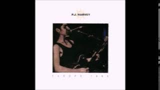 P.J. Harvey - Europe 1993 [full album]